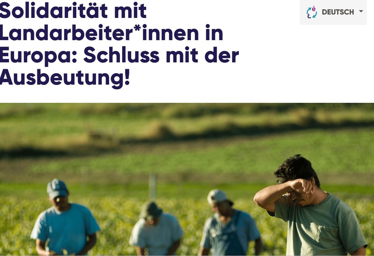 Image of a field with four agricultural workers